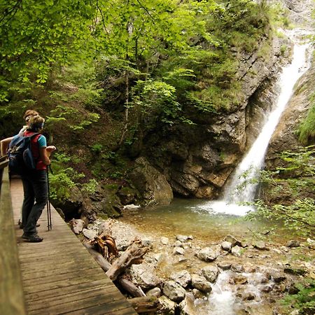 Mountain Inn Chalets & Apartments Walchsee Εξωτερικό φωτογραφία